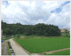  2025Ÿ��3022  �����