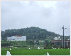  2025Ÿ��3022  �����