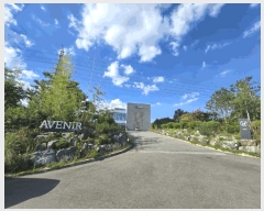  2025Ÿ��3541  �ٸ��ü����