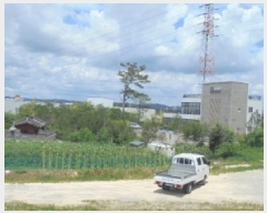  2025Ÿ��3541  �ٸ��ü����