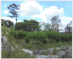  2025Ÿ��3541  �ٸ��ü����