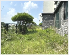  2025Ÿ��3954 ��� û�ֽ� û���� ������ ��� 245-5     ���ð��