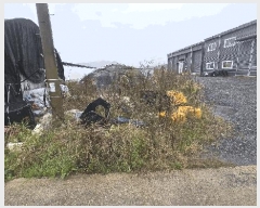  2025Ÿ��4230 ��� û�ֽ� ��籸 ������ ������ 48     ����,â�����