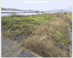  2025Ÿ��4230 ��� û�ֽ� ��籸 ������ ������ 48     ����,â�����