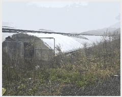  2025Ÿ��4230 ��� û�ֽ� ��籸 ������ ������ 48     ����,â�����