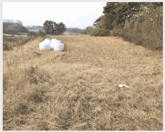  2025Ÿ��5271 ��� ��õ�� ������ ����� 176-3      ����(��1)���