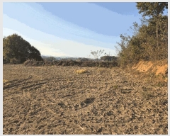  2025Ÿ��5271 ��� ��õ�� ������ ����� 176-3      ����(��1)���