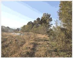  2025Ÿ��5271 ��� ��õ�� ������ ����� 176-3      ����(��1)���