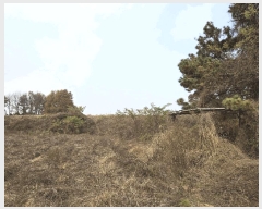  2025Ÿ��5271 ��� ��õ�� ������ ����� 176-3      ����(��1)���