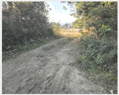  2025Ÿ��5271 ��� ��õ�� ������ ����� 176-3      ����(��1)���