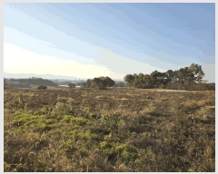  2025Ÿ��5271 ��� ��õ�� ������ ����� 176-3      ����(��1)���