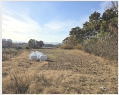  2025Ÿ��5271 ��� ��õ�� ������ ����� 176-3      ����(��1)���