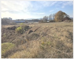  2025Ÿ��5271 ��� ��õ�� ������ ����� 176-3      ����(��1)���