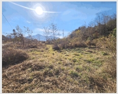  2025Ÿ��5332  �Ӿ߰��