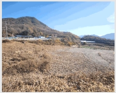  2025Ÿ��5332  �Ӿ߰��