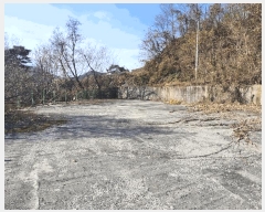  2025Ÿ��5332  �Ӿ߰��