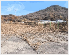  2025Ÿ��5332  �Ӿ߰��