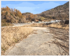  2025Ÿ��5332  �Ӿ߰��