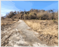  2025Ÿ��5332  �Ӿ߰��