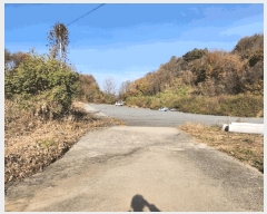  2025Ÿ��5332  �Ӿ߰��