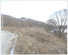  2025Ÿ��5417 ��� û�ֽ� ��籸 ���ϸ� ȭ�縮 466     ����(��1)���