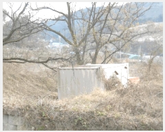  2025Ÿ��5417 ��� û�ֽ� ��籸 ���ϸ� ȭ�縮 466     ����(��1)���