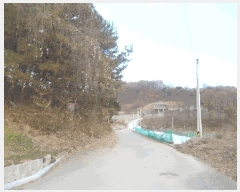  2025Ÿ��5417 ��� û�ֽ� ��籸 ���ϸ� ȭ�縮 466     ����(��1)���