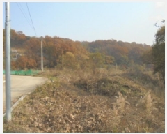  2025Ÿ��5417 ��� û�ֽ� ��籸 ���ϸ� ȭ�縮 466     ����(��1)���