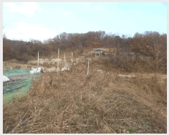  2025Ÿ��5417 ��� û�ֽ� ��籸 ���ϸ� ȭ�縮 466     ����(��1)���