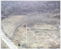  2025Ÿ��5936  �����