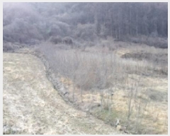  2025Ÿ��5936  �����