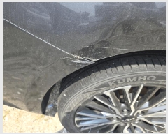  2025Ÿ51071 ûֽ  强 50-1, 50-3 ȭ     