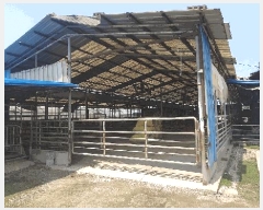  2025Ÿ��51093  ���(�󰡽ü�)���