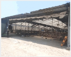  2025Ÿ��51093  ���(�󰡽ü�)���