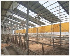  2025Ÿ��51093  ���(�󰡽ü�)���