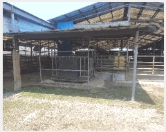  2025Ÿ��51093  ���(�󰡽ü�)���