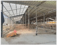  2025Ÿ��51093  ���(�󰡽ü�)���