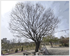  2025Ÿ51103  ûֽ û  29-1      ٸü,󰡰