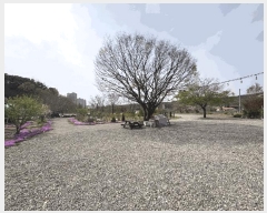  2025Ÿ51103  ûֽ û  29-1      ٸü,󰡰