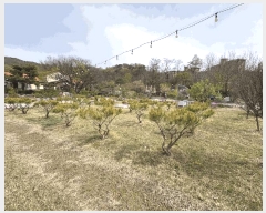  2025Ÿ51103  ûֽ û  29-1      ٸü,󰡰