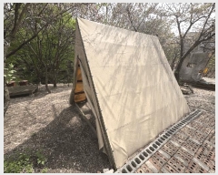  2025Ÿ51103  ûֽ û  29-1      ٸü,󰡰