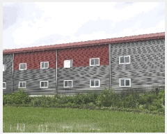  2025Ÿ��51143 ��� û�ֽ� û���� ��â�� ������ 81-1     ������