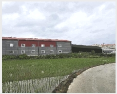  2025Ÿ��51143 ��� û�ֽ� û���� ��â�� ������ 81-1     ������