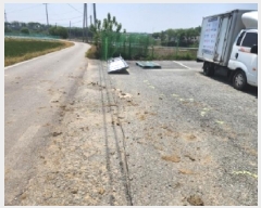  2025Ÿ��51143 ��� û�ֽ� û���� ��â�� ������ 81-1     ������