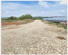  2025Ÿ��51169 ��� ��õ�� ������ ����� 316-9      ����(��1)���