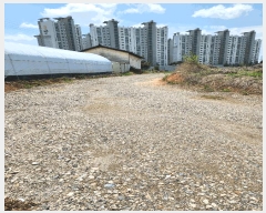  2025Ÿ��51169 ��� ��õ�� ������ ����� 316-9      ����(��1)���