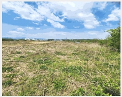  2025Ÿ��51169 ��� ��õ�� ������ ����� 316-9      ����(��1)���