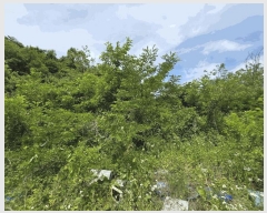  2025Ÿ51199  걺 Ҽ  957-7      (Ӿ)