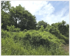  2025Ÿ51199  걺 Ҽ  957-7      (Ӿ)