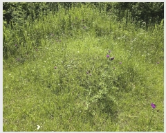  2025Ÿ51199  걺 Ҽ  957-7      (Ӿ)